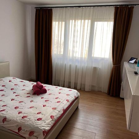 Garsoniera Flamingo Garii 4 Apartman Brassó Kültér fotó