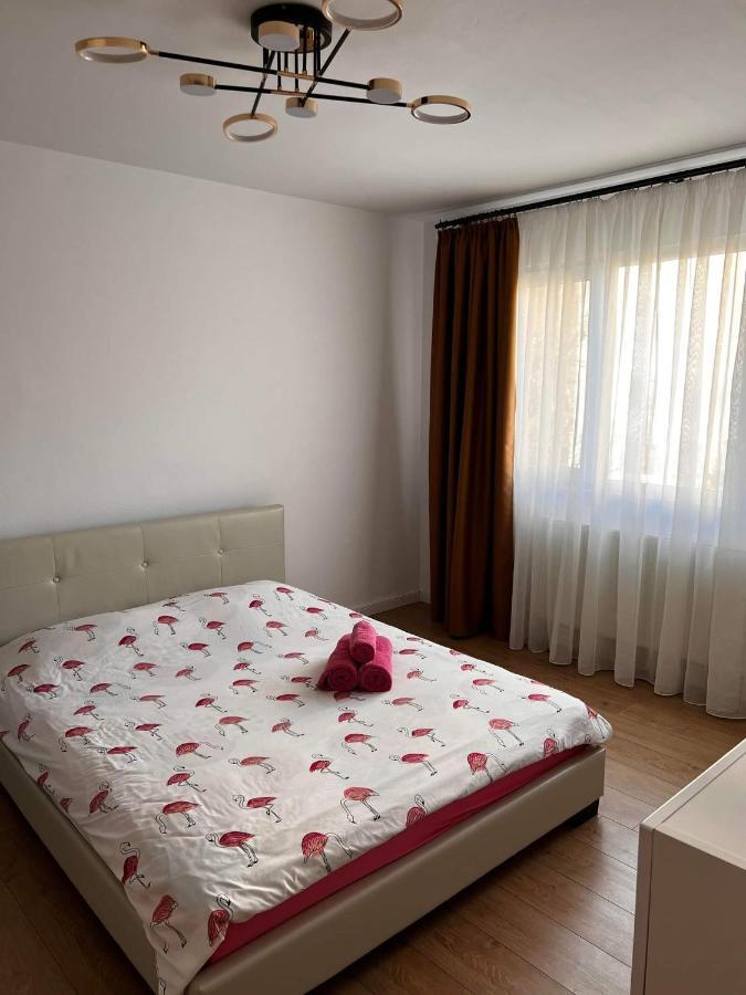 Garsoniera Flamingo Garii 4 Apartman Brassó Kültér fotó