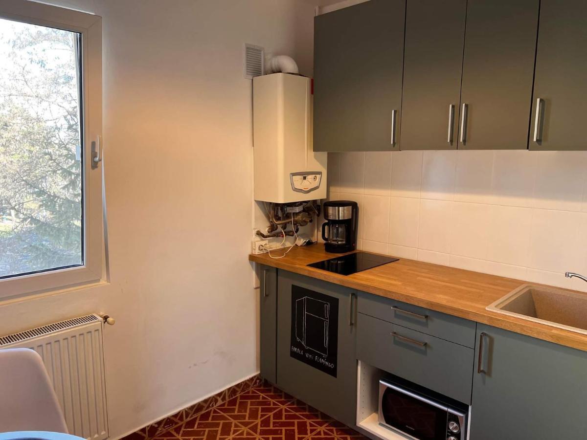 Garsoniera Flamingo Garii 4 Apartman Brassó Kültér fotó