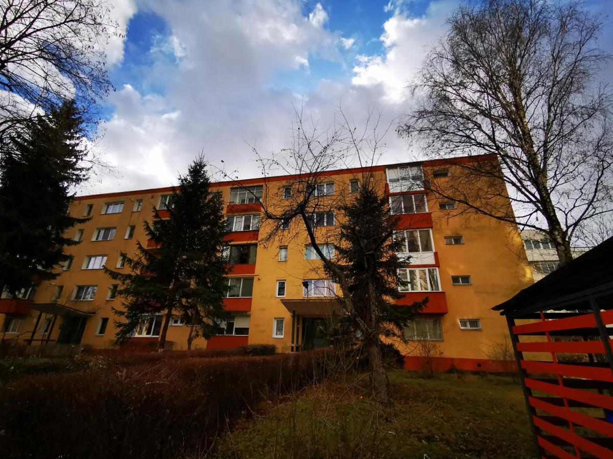 Garsoniera Flamingo Garii 4 Apartman Brassó Kültér fotó